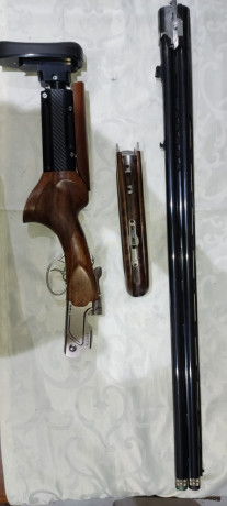 Hola!
Cedo una Beretta 694 Cal. 12 con cañón de 81 cm. y culata articulada Goodshoot Pro. Diestro. La 00
