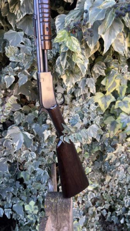Se vende carabina Rossi modelo 62 calibre 22 LR en perfecto estado, tanto maderas como pavón. Capacidad 21