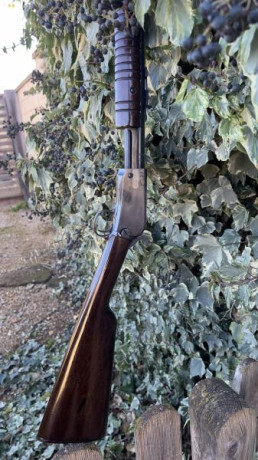 Se vende carabina Rossi modelo 62 calibre 22 LR en perfecto estado, tanto maderas como pavón. Capacidad 20