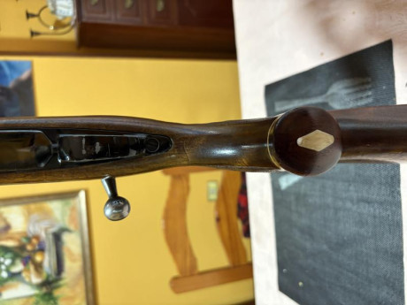 Rifle BSA Guns England
Calibre 7 mm Rem Mag
Ya sabemos que no es una primera marca, que pesa, que tal 12