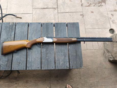 Se vende por no usar y cúmulo de armas
Zona Barcelona Gerona precio 400€ 00