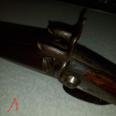 Un conocido mío deja la afición y desea vender esta rara escopeta de cartuchos de espiga, el arma se encuentra 01