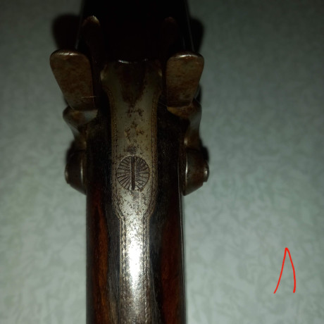 Un conocido mío deja la afición y desea vender esta rara escopeta de cartuchos de espiga, el arma se encuentra 00