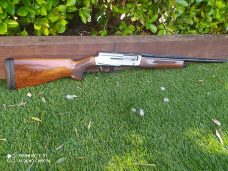 Buenas tardes

Pongo en venta una escopeta Browning modelo A5 Ultimate Partridges

Cañón de 71 cm
Calibre 02