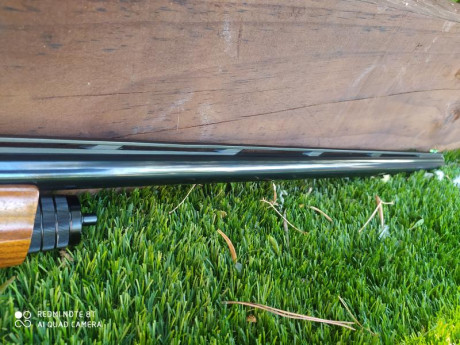 Buenas tardes

Pongo en venta una escopeta Browning modelo A5 Ultimate Partridges

Cañón de 71 cm
Calibre 31