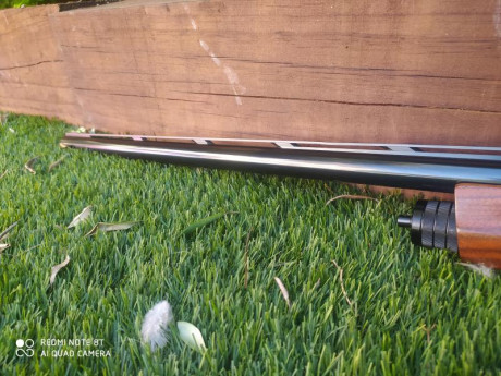 Buenas tardes

Pongo en venta una escopeta Browning modelo A5 Ultimate Partridges

Cañón de 71 cm
Calibre 30