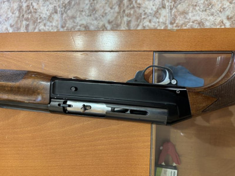 Busco escopeta económica en malaga aunque si ubiese que pagar porte ya se vería según la oferta 11