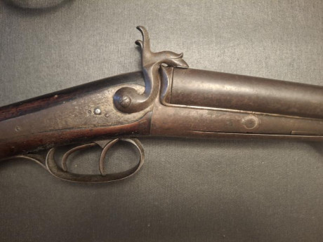 Se trata de dos armas largas antiguas .
Detalles por mensaje privado.

Una es un fusil sueco de avancarga, 12