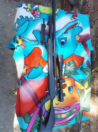 Un amigo vende:

PCP Snowpeak M25 5.5 con visor de X40 aumentos y bípode, sin fugas de aire 

Precio 340 12
