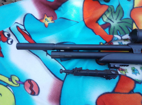 Un amigo vende:

PCP Snowpeak M25 5.5 con visor de X40 aumentos y bípode, sin fugas de aire 

Precio 340 10