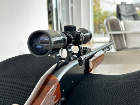 Vendo Carabina Remington 
Con cargador tubular de 15 tiros se acciona en modo "pajillera " perfecta 01