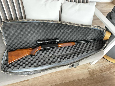 Vendo Carabina Remington 
Con cargador tubular de 15 tiros se acciona en modo "pajillera " perfecta 00