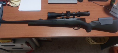 Buenos días, 

Vendo Steyr mannlicher CII SX 3, con:

-Gatillo al pelo  francés, muy bueno.
-Carril picatinny.
-Miras 02