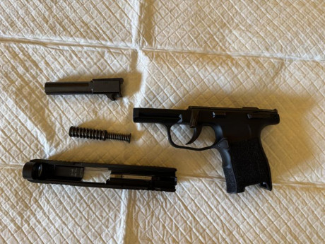 Buenos días:

Vendo una pistola Sig Sauer P365 micro con seguro manual guiada para Licencia A.

Prácticamente 00