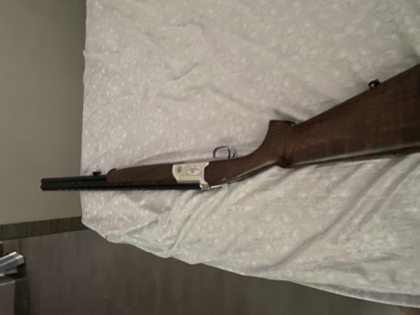 Hola vendo superpuesta del calibre 20 , cañón de 71 cm.
no expulsora, casi nueva
 Banda ventilada de 7mm.

- 00