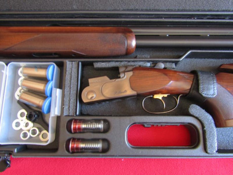 Hola. Vendo Beretta 682 Gold de 71 cm de cañón con cinco polichokes y culata regulable en excelente estado.

Es 31