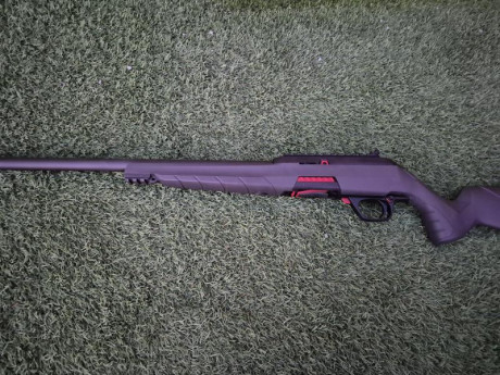 Vendo carabina 22 rl winchester wildcat prácticamente nuevo 

Precio 300 envío incluido 01