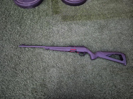 Vendo carabina 22 rl winchester wildcat prácticamente nuevo 

Precio 300 envío incluido 00