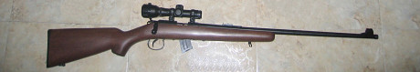 Carabina Norinco JW15 Cal. 22 L.R. prácticamente nueva, sin apenas disparos. 100 euros. Está en la provincia 00