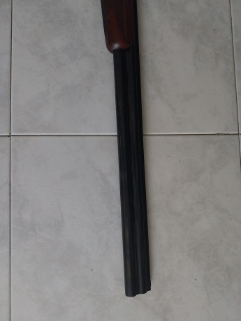 Un compañero del tiro al plato vende una escopeta superpuesta Lamber de Trap con 76cm de cañón la escopeta 02