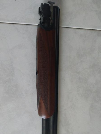 Un compañero del tiro al plato vende una escopeta superpuesta Lamber de Trap con 76cm de cañón la escopeta 01