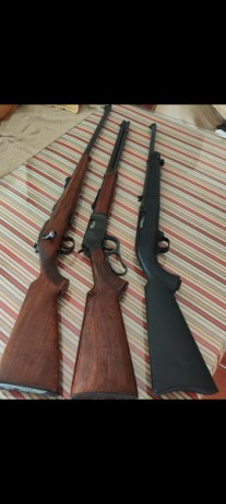 Brno 22, le falta parte del alza, 250
Norinco 22 palanca, 250
Ruger 10/22 sintético, 500 81