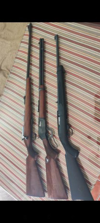 Brno 22, le falta parte del alza, 250
Norinco 22 palanca, 250
Ruger 10/22 sintético, 500 80