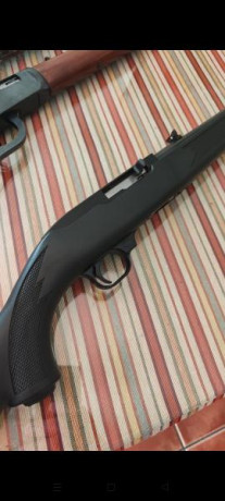 Brno 22, le falta parte del alza, 250
Norinco 22 palanca, 250
Ruger 10/22 sintético, 500 92