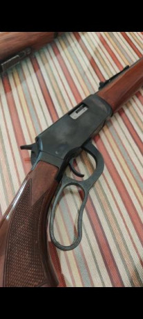 Brno 22, le falta parte del alza, 250
Norinco 22 palanca, 250
Ruger 10/22 sintético, 500 91