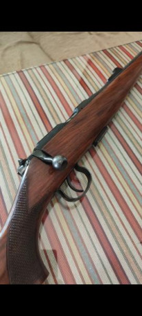 Brno 22, le falta parte del alza, 250
Norinco 22 palanca, 250
Ruger 10/22 sintético, 500 90