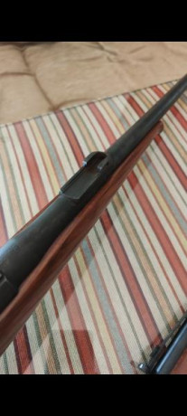 Brno 22, le falta parte del alza, 250
Norinco 22 palanca, 250
Ruger 10/22 sintético, 500 100
