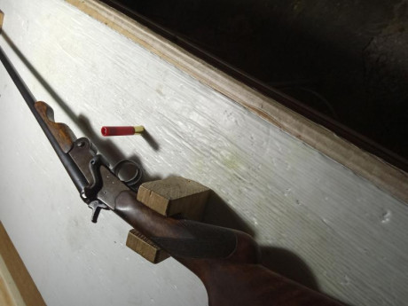 Hola
Vendo 2 carabinas por no usarlas....
Una de ellas en de la marca Winchester y la otra es Brno (Falta 62