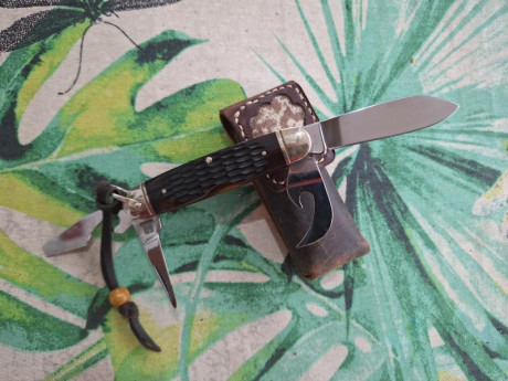 Buenos días compañeros,

Pongo a la venta estos cuchillos y navajas de mi colección, todos sin ningún 61