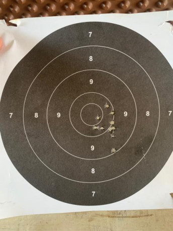 Hola amigos, estoy leyendo mucho pero por separado de nuestras queridas CZ | Brno del .22LR. Se podría 40