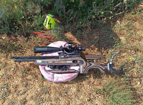 Pongo a la venta mi carabina de field target. Es una AIr Arms FTP900. Es calibre 4,5 con potencia de 16 02