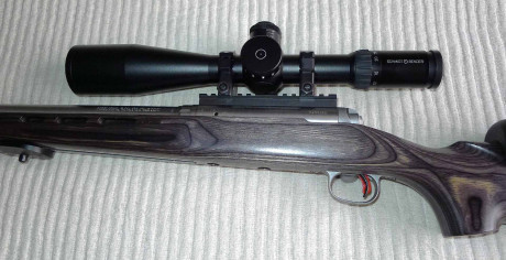 Vendo los siguientes artículos:
Savage 12F/TR  calibre .308 con carril picantinny de 20 MOAS, dos carrilleras 11