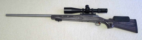Vendo los siguientes artículos:
Savage 12F/TR  calibre .308 con carril picantinny de 20 MOAS, dos carrilleras 10