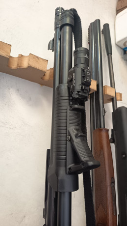 . 161