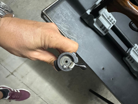 Hola un amigo vende un rifle:
Como mejoras tiene carril de acero, cantonera de gel y disparador afinado 01