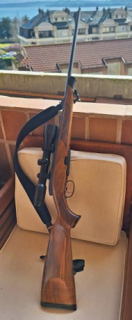 Buenos días. Un amigo vende un rifle Steyr Mannlicher con visor Zeiss Diavari V 2'5-10x50 y monturas fijas 00