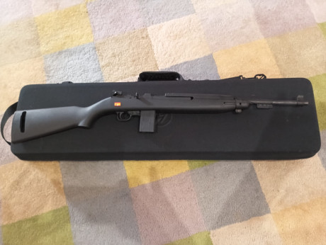 Vendo estupenda carabina modelo M1 CHIAPPA 22LR con tres cargadores y funda de transporte,esta como a 01