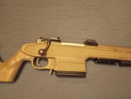 VENTA O CAMBIO 

Rifle CUSTOM BRNO 98 calibre 308
-Cañon match Lothar Whalter
-Accion BRNO 98 
- Disparador 01