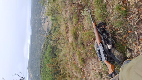 Buenos días, Quisiera Cambiar un Browning Bar 2 del 3006, Cañon del 56cm y 2 Cargadores con Bases Apel, 10