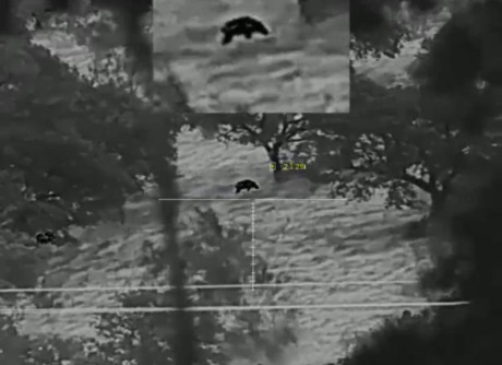 Vendo este visor térmico pard ts31 con lente de 45 mm, telémetro y calculadora balística. Lo compré en 60