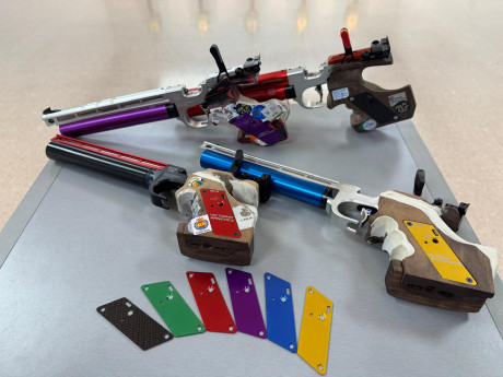 Placas de diseñadas para Steyr Evo 10E, encajan perfectamente en su sistema electrónico, fabricadas en 02