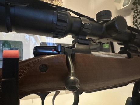 Me gustaría cambiar alguna de estar armas por un rifle para tirar a muy larga distancia .
Mis rifles 

GSG 42