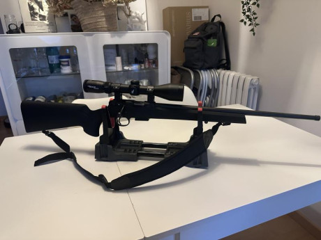 Me gustaría cambiar alguna de estar armas por un rifle para tirar a muy larga distancia .
Mis rifles 

GSG 52