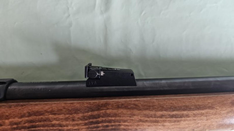 Hola amigos, estoy leyendo mucho pero por separado de nuestras queridas CZ | Brno del .22LR. Se podría 170