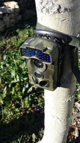 Envio imagenes al teléfono de esta camara de caza y vigilancia es instantáneo, se realiza mediante email. 02