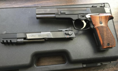 Se ofrece una magnífica pistola Walther P88 Champion  cal 9mm de 6” cañón poligonal, dos cargadores  de 01